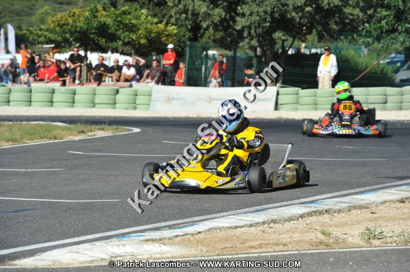 DSC (2499).JPG